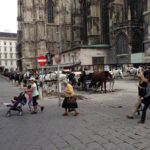 vienna street